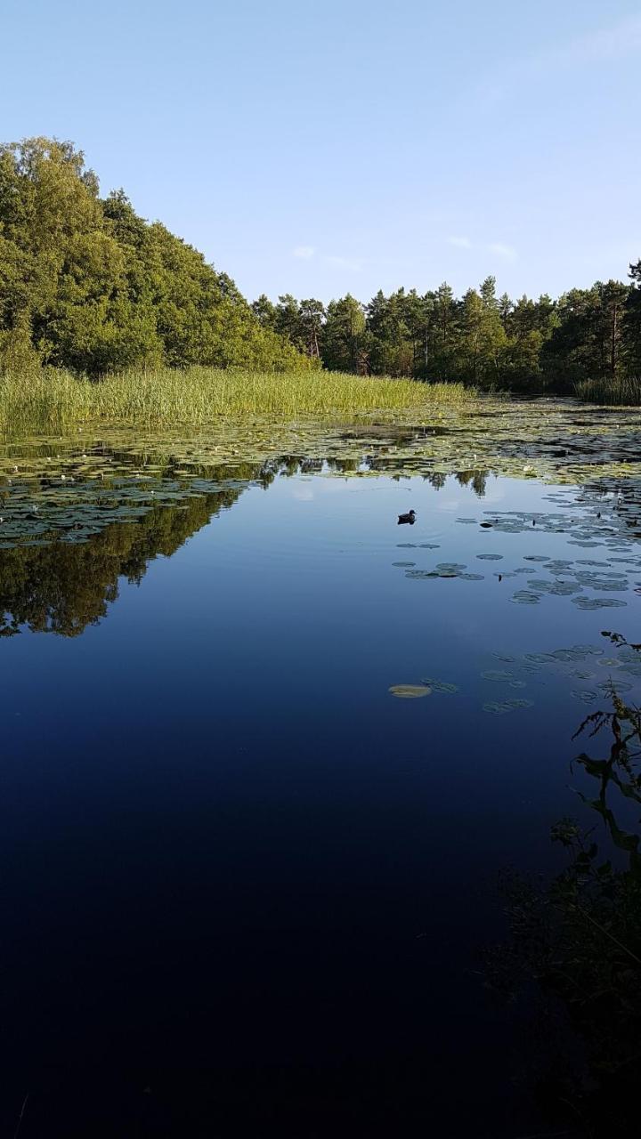 Domki Skandynawskie Kopalino Zewnętrze zdjęcie